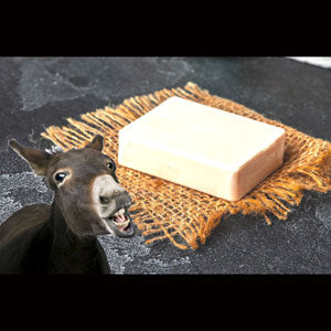 Donkey Milk Soap Organic Large 6.5 oz Bar Super Moisturizing For All Skin Types Choice of Scents