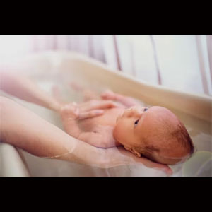 Sheep Milk Soap Bar Gentle For Nursing Mothers & Baby Unscented 4.5 Oz Bars Gentle Nice Lather Fits Nicely In Hand