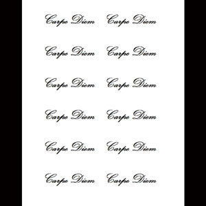 Carpe diem lettering tattoo located on the inner