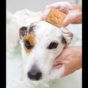 Natural Organic Dog Shampoo Conditioning Bar Hair Of The Dog Oatmeal Honey Cleanser Moisturizing Soft Silky Fur 4 ounce Bar